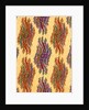 Design for printed shawl fabric by George Charles Haité