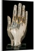 Hand from an Arm Reliquary. Flanders, 13th century by Unknown