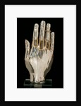 Hand from an Arm Reliquary. Flanders, 13th century by Unknown