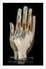 Hand from an Arm Reliquary. Flanders, 13th century by Unknown