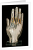 Hand from an Arm Reliquary. Flanders, 13th century by Unknown
