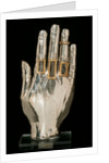 Hand from an Arm Reliquary. Flanders, 13th century by Unknown