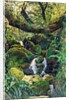 Landscape by Henry Alexander Bowler