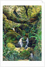 Landscape by Henry Alexander Bowler