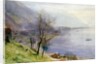 View above Montreux by John William Inchbold