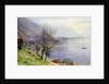 View above Montreux by John William Inchbold