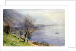 View above Montreux by John William Inchbold
