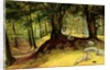 Parkhurst Woods, Abinger, Surrey by Richard Redgrave