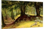 Parkhurst Woods, Abinger, Surrey by Richard Redgrave