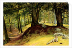 Parkhurst Woods, Abinger, Surrey by Richard Redgrave