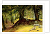 Parkhurst Woods, Abinger, Surrey by Richard Redgrave