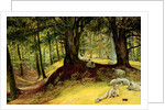 Parkhurst Woods, Abinger, Surrey by Richard Redgrave
