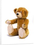 Teddy Bear by Unknown