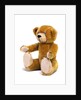 Teddy Bear by Unknown