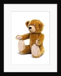 Teddy Bear by Unknown