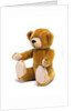 Teddy Bear by Unknown