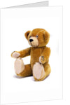 Teddy Bear by Unknown