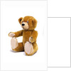 Teddy Bear by Unknown