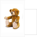 Teddy Bear by Unknown