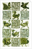 Birds and leaves by Unknown