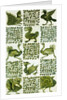Birds and leaves by Unknown