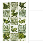 Birds and leaves by Unknown