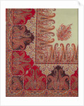 Shawl by Charles Swaisland