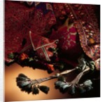 Costume Objects. India and Pakistan, 19th-20th century by Unknown