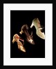 Woman's shoes. Britain and Monaco, early 20th century by Unknown