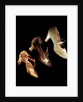 Woman's shoes. Britain and Monaco, early 20th century by Unknown