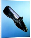 Man's court shoe. Germany, 1851 by Unknown