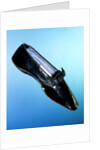 Man's court shoe. Germany, 1851 by Unknown