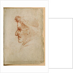 Forster Codex II by Leonardo da Vinci