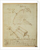 Forster Codex I by Leonardo da Vinci