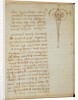 Forster Codex I by Leonardo da Vinci