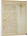 Forster Codex I by Leonardo da Vinci