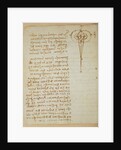 Forster Codex I by Leonardo da Vinci