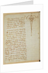 Forster Codex I by Leonardo da Vinci