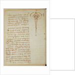 Forster Codex I by Leonardo da Vinci