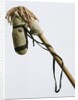 Homemade hobby horse by Anonymous