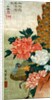 Peony and a Peacock by Utagawa Hiroshige I