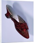 Woman's Mule. France, late 19th century by Unknown