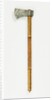 Axe. Lahore, Pakistan, 19th century by Unknown