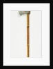 Axe. Lahore, Pakistan, 19th century by Unknown