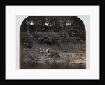 Ribbleside Keepers Rest by Roger Fenton