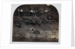 Ribbleside Keepers Rest by Roger Fenton