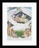 Holy Family of Siva, Parvati, Kartikiyya and Ganesa on Mount Kailash by Unknown
