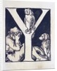 Y by Godfrey Sykes