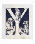 Y by Godfrey Sykes