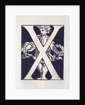 X by Godfrey Sykes